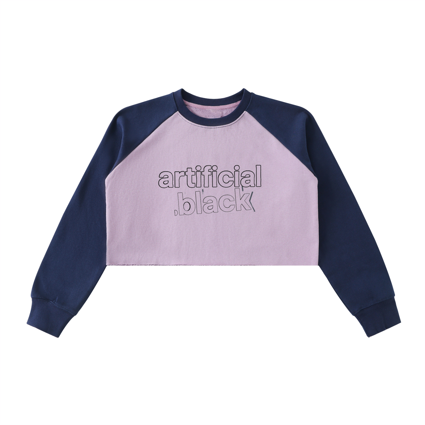 "Veridion Street Crop Sweatshirt"