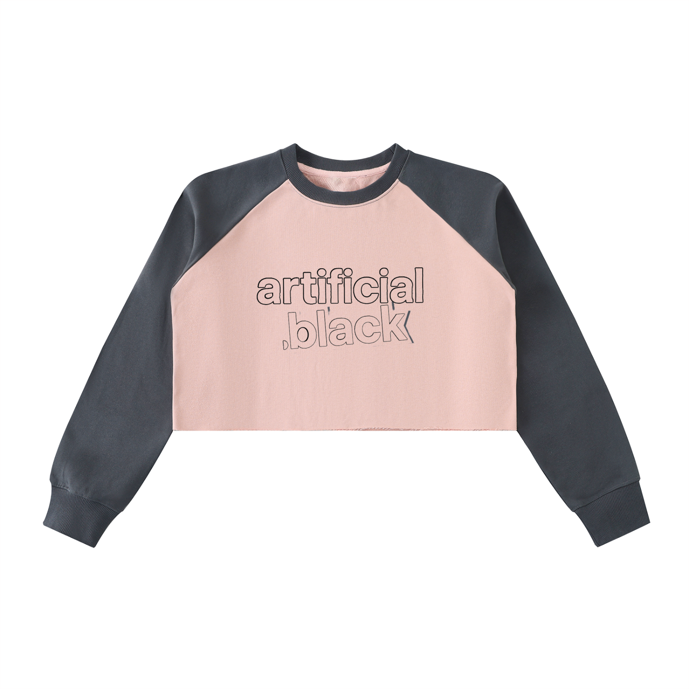 "Veridion Street Crop Sweatshirt"