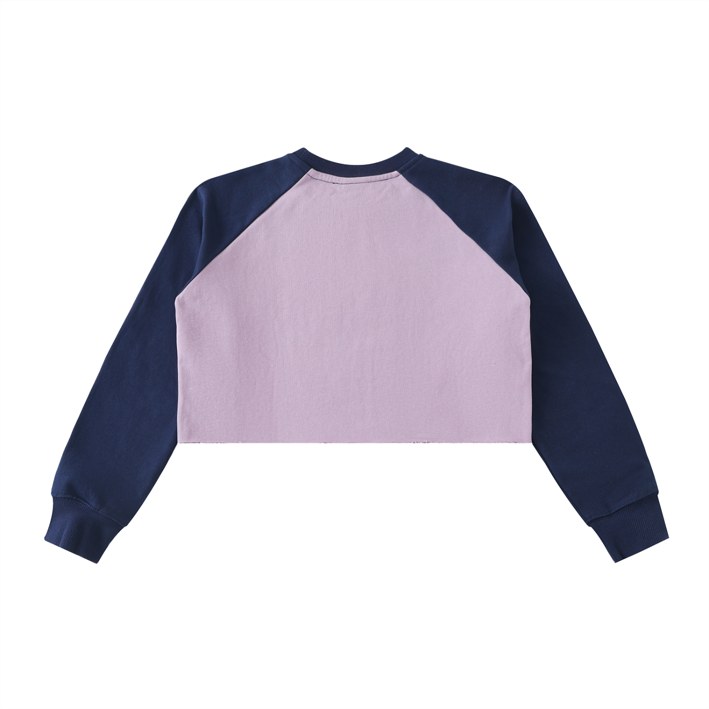 "Veridion Street Crop Sweatshirt"